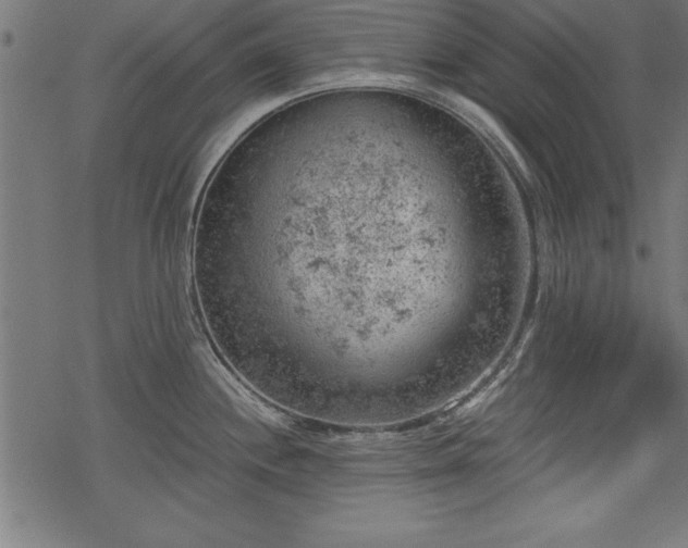 X0000068851244200605081207