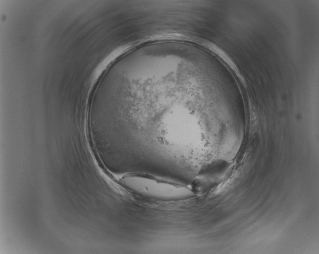 X0000068851245200605081207