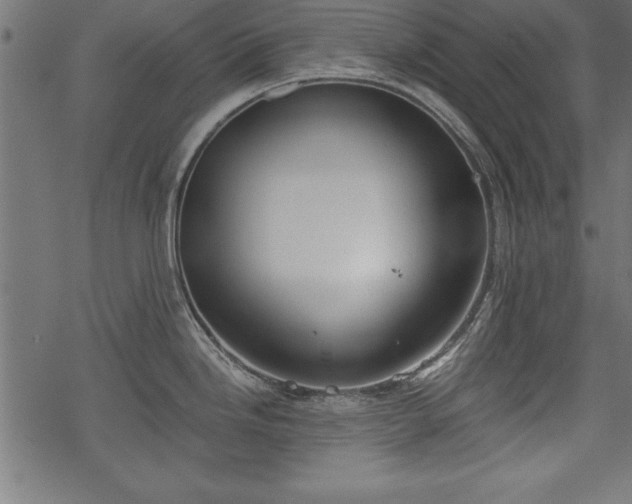 X0000068851246200605081207