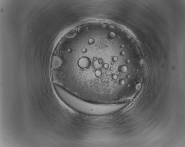 X0000068851247200605081207