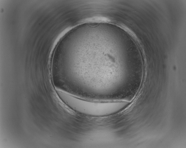 X0000068851248200605081207