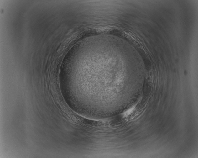 X0000068851249200605081206