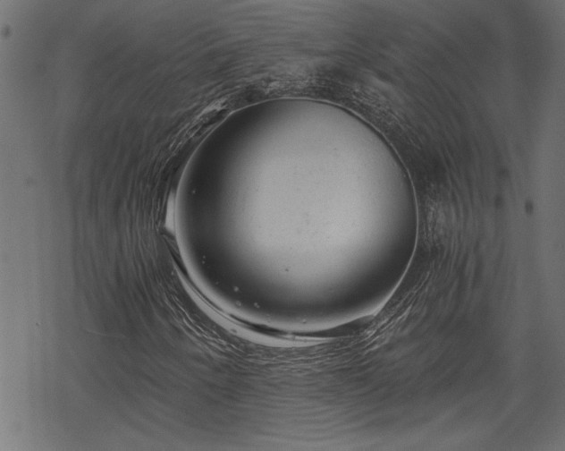 X0000068851250200605081206