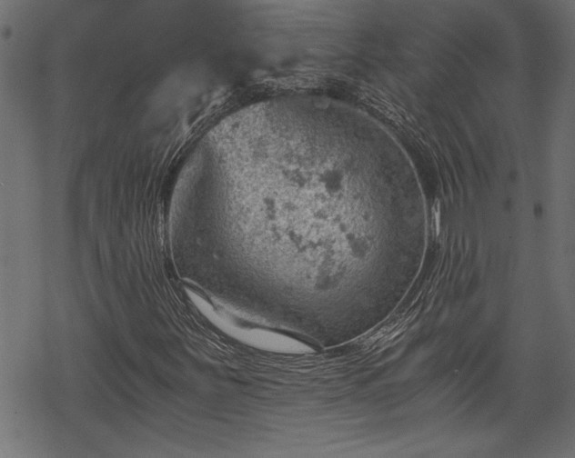 X0000068851251200605081206