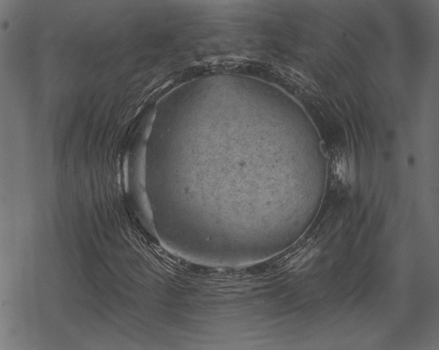 X0000068851252200605081206