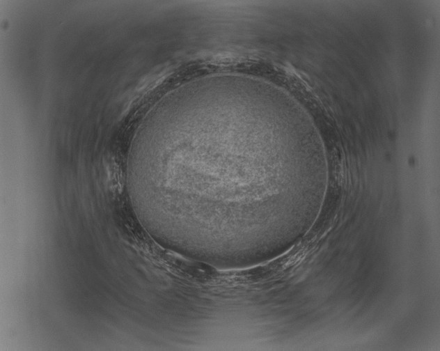 X0000068851253200605081206