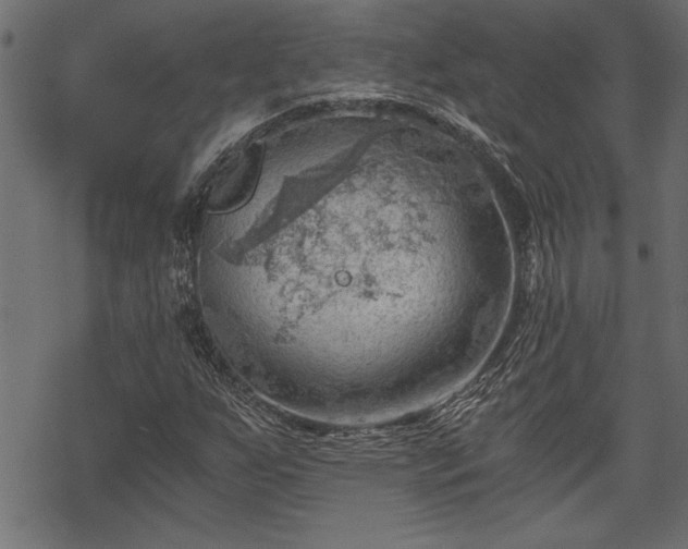 X0000068851255200605081206