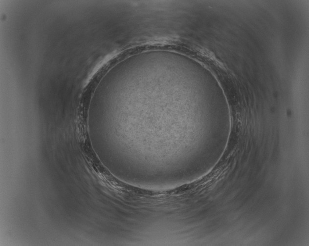 X0000068851256200605081206