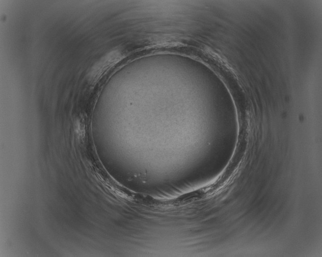 X0000068851257200605081206