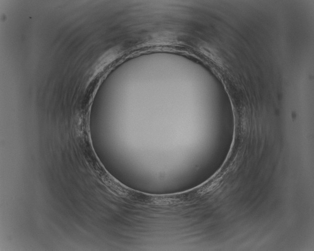 X0000068851258200605081206