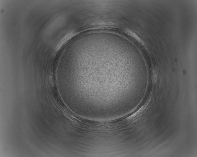 X0000068851259200605081206