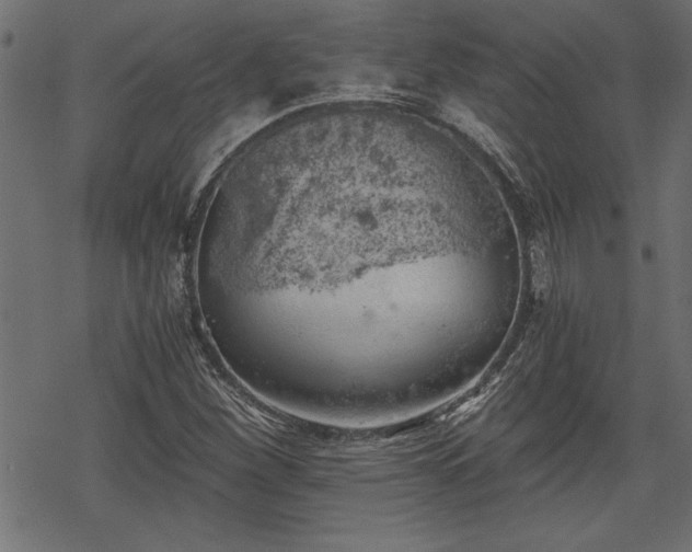 X0000068851260200605081206