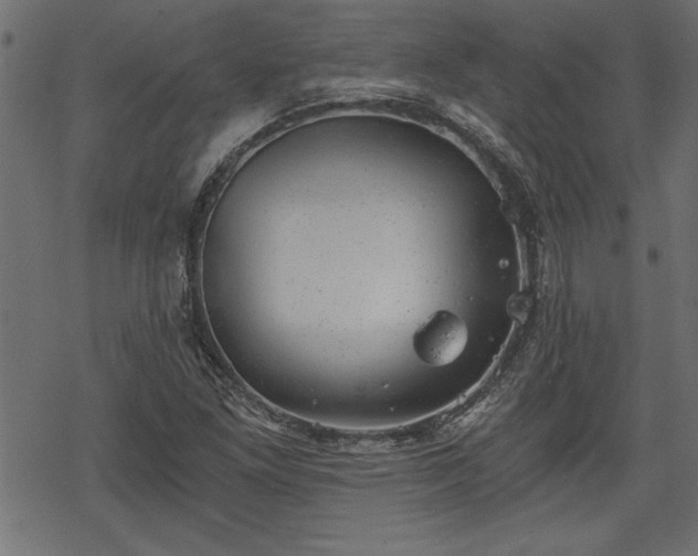 X0000068851261200605081206