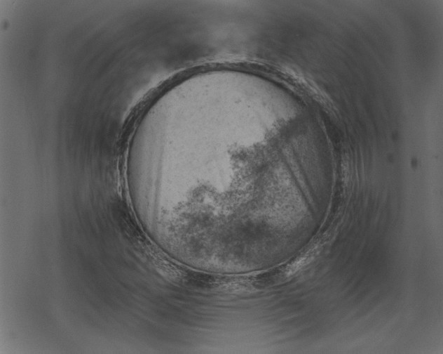 X0000068851262200605081206