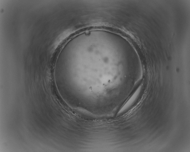 X0000068851263200605081206