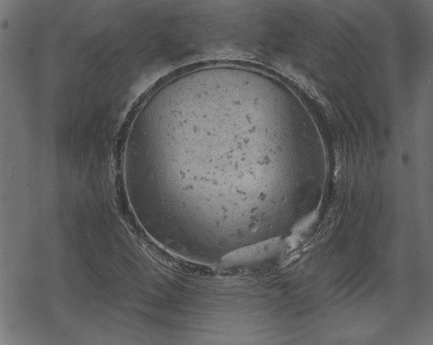 X0000068851264200605081206