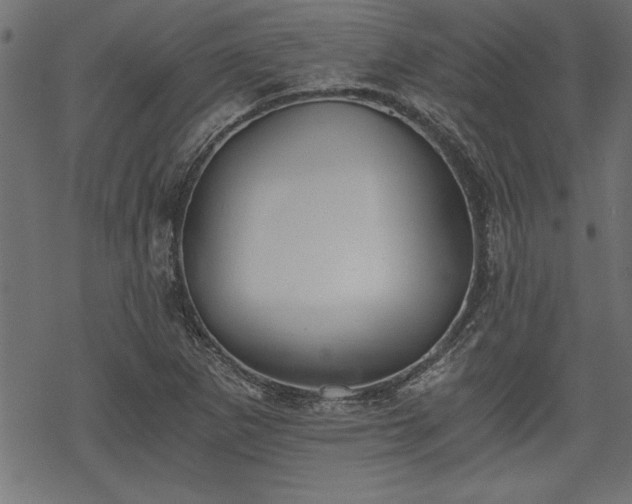 X0000068851265200605081205