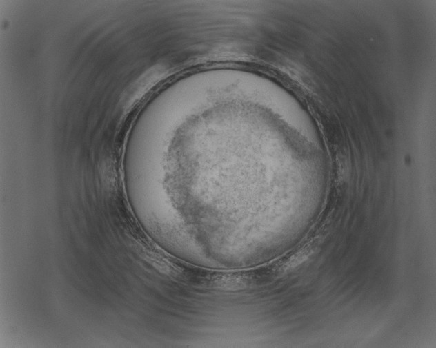 X0000068851266200605081205