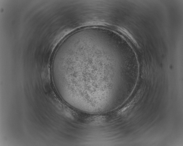 X0000068851268200605081205