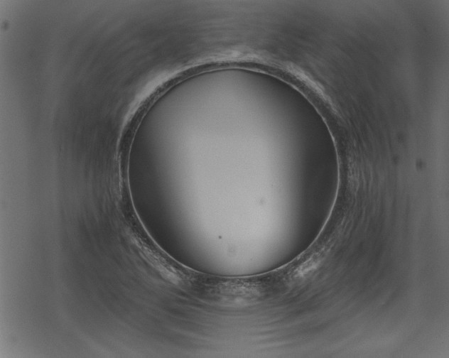 X0000068851270200605081205