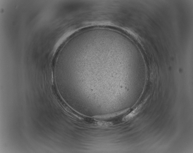 X0000068851271200605081205