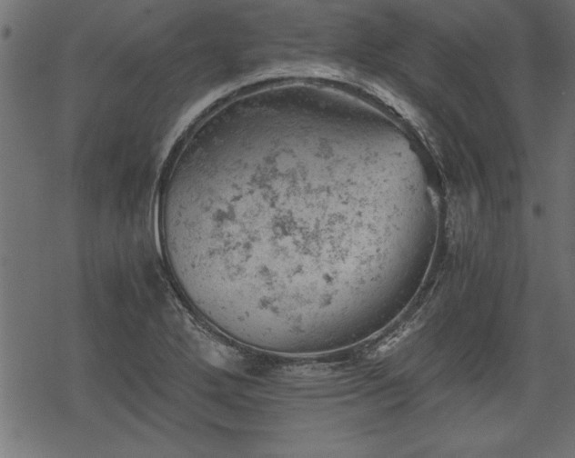 X0000068851272200605081205