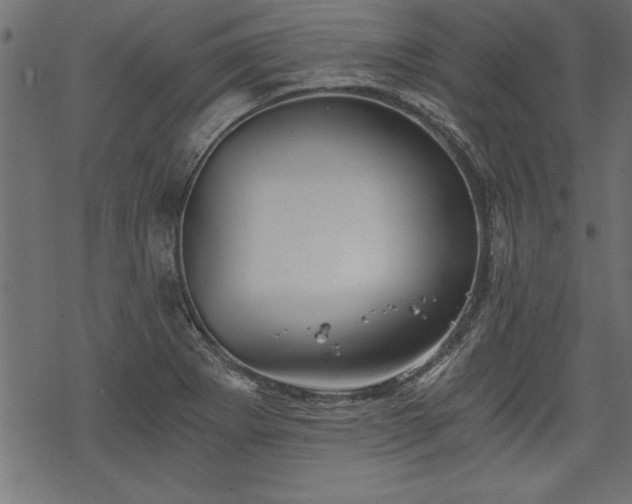 X0000068851273200605081205