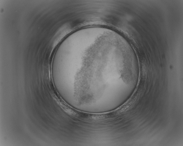 X0000068851274200605081205