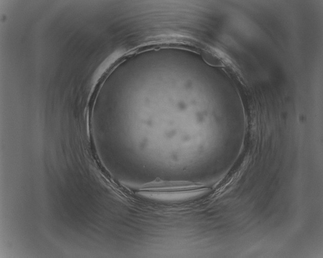 X0000068851275200605081205