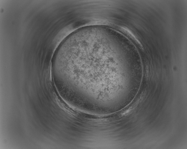 X0000068851276200605081205