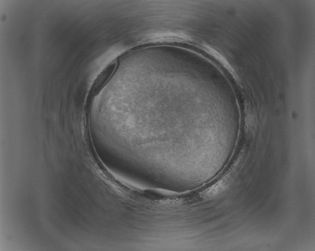 X0000068851277200605081205