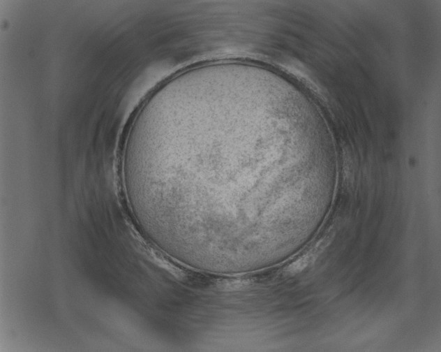 X0000068851278200605081205