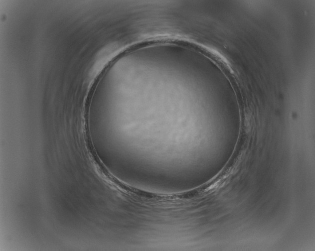 X0000068851279200605081205