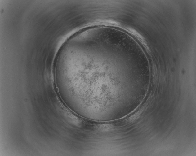 X0000068851280200605081205