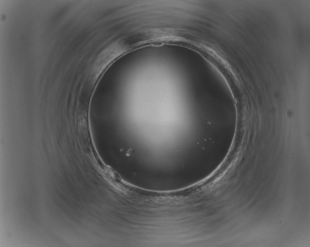 X0000068851281200605081205