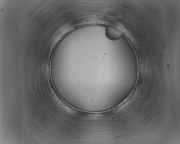 X0000068851282200605081205