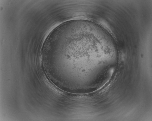 X0000068851284200605081205