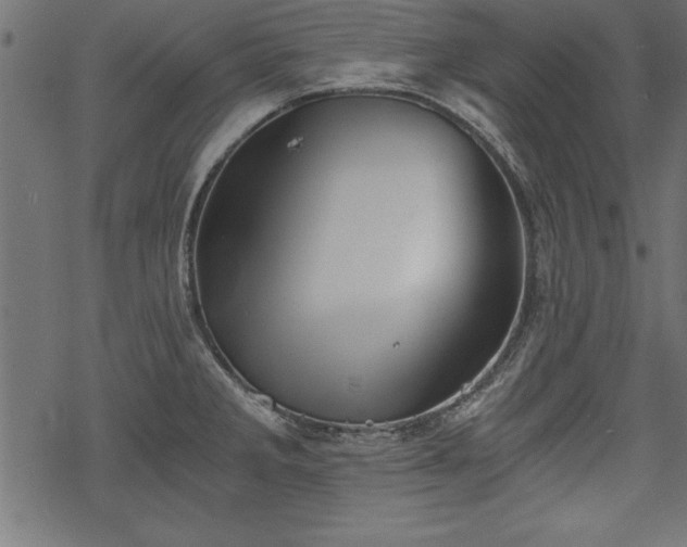 X0000068851285200605081205