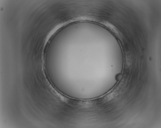 X0000068851286200605081205