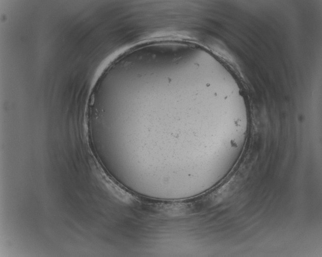 X0000068851288200605081205