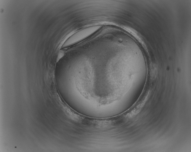 X0000068851289200605081205