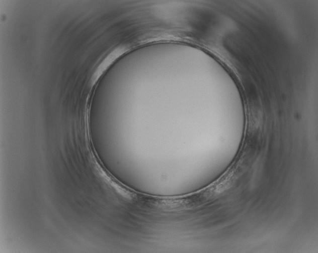 X0000068851290200605081205