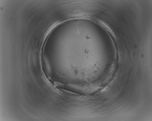 X0000068851291200605081205