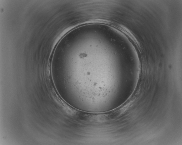 X0000068851292200605081205