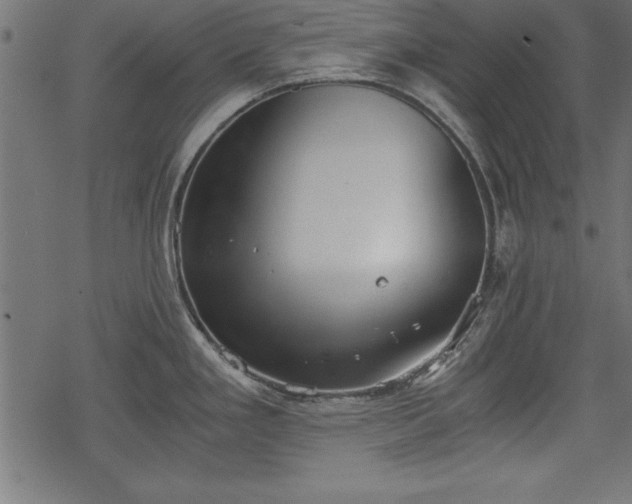 X0000068851293200605081205