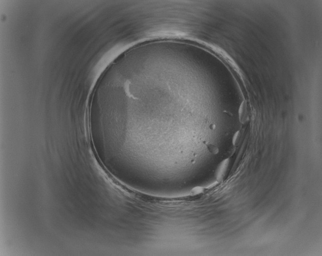 X0000068851295200605081205