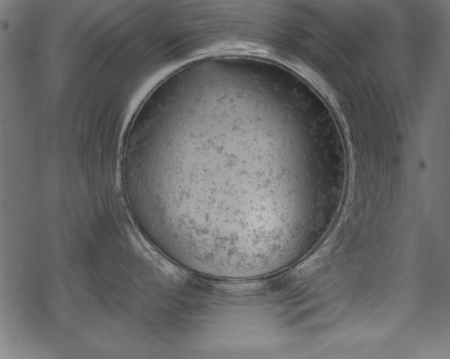 X0000068851296200605081205