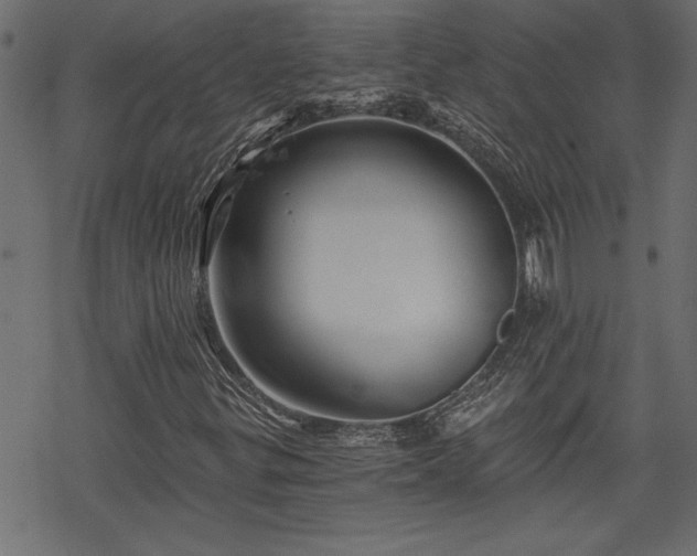 X0000068851299200605081204