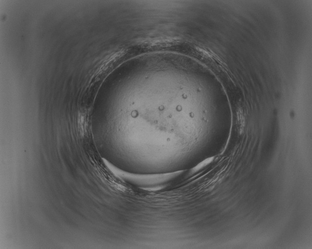 X0000068851300200605081204