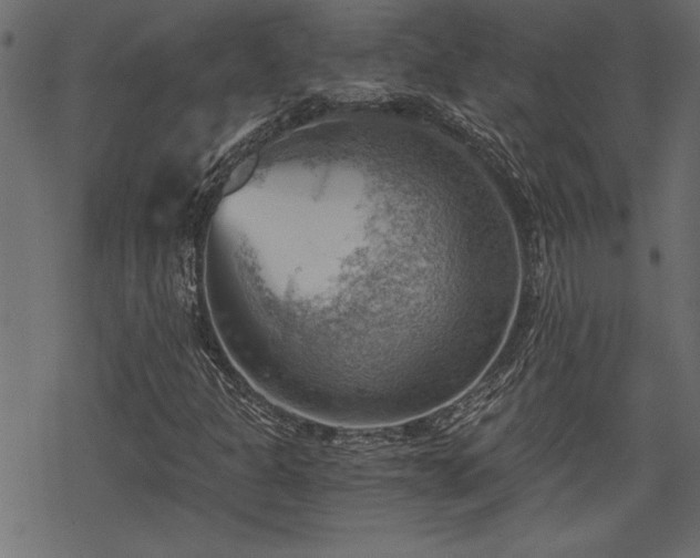 X0000068851301200605081204